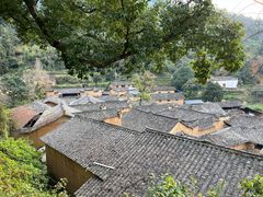 -杨家堂村