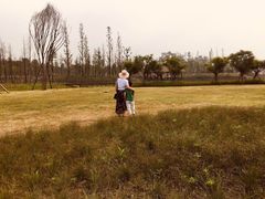 -白鹭湾湿地公园