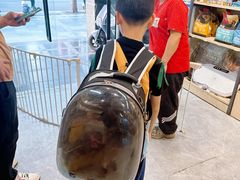 -PETKIT 小佩宠物·低压洗护·美容·寄养(安远店)