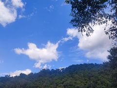 -野象谷景区