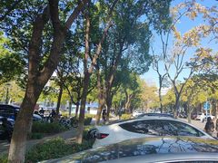 -海事大学图书馆(临港校区)