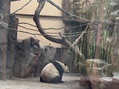 -宁波野生动物园