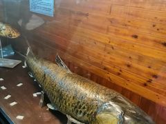 -南京金牛湖风景区