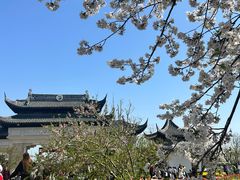 -苏州上方山国家森林公园