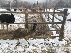 -西安秦岭野生动物园