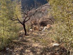 -天津盘山风景名胜区