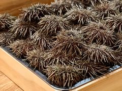 -鮨乐亭Omakase·海胆宴