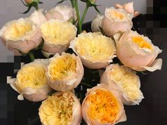 -三旗百汇商品城