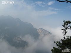 -王顺山国家森林公园