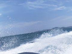 -杨记清芳牛肉拉面(京广路店)