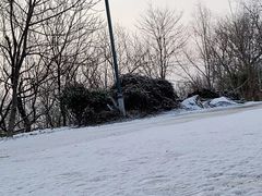 -丽彩天祺酒店-自助餐厅