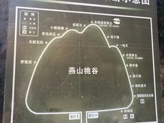 -大岭沟猕猴桃谷风景区