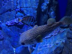 -成都浩海立方海洋公园