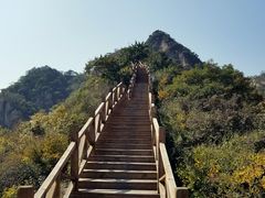 -大岭沟猕猴桃谷风景区