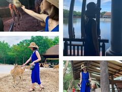 -清迈夜间动物园