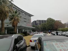 -上海中医药大学附属曙光医院(东部)