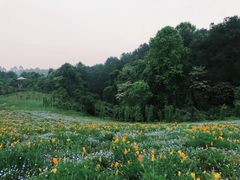 -保利石象湖景区