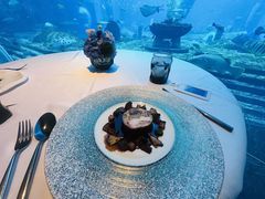 -亚特兰蒂斯•OSSIANO奥西亚诺海底餐厅