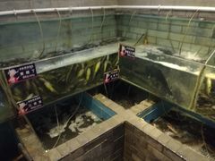 -老凯俚酸汤鱼(鸿通城店)