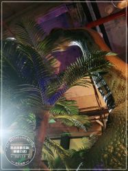 -恐龙探索乐园(磁器口店)