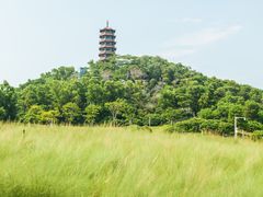 -红花山公园
