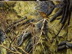 -上海海洋水族馆