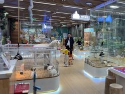 -小象动悟公园(龙湖亦庄天街店)