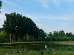 -东郊湿地公园