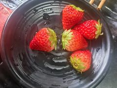 -果松木炭酸菜铜火锅·外婆参鸡汤