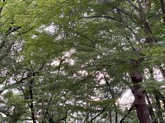 -京都御所