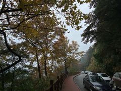 -广州市流溪河国家森林公园