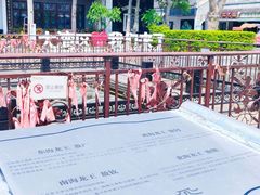 -巽寮印象美食部落餐厅·海鲜·地方特色菜(惠州体验店)