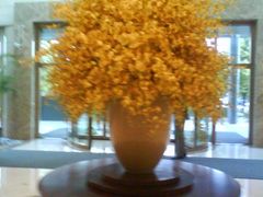 DSC05216-东怡大酒店(上海科技馆店)