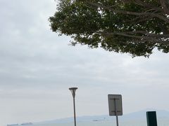 -音乐广场