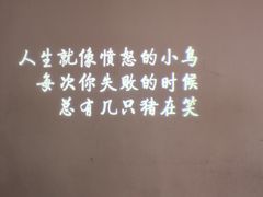 -成都失恋馆