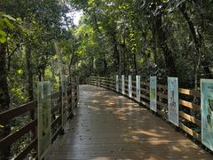 -野象谷景区