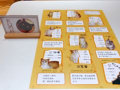 -滚猫咖啡·猫咖·猫友好撸猫(未来城店)