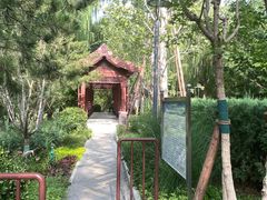 -南长河公园