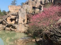 -鼓岭旅游度假区