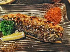 -春草居酒屋·晴子の店