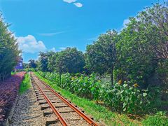 -武汉紫薇都市田园