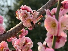 -苏州湾体育公园