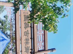 -御林古桑园