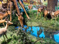 -国家自然博物馆