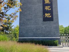 -莲花池公园