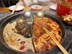 菌汤鸳鸯-蜀大侠火锅(香格里拉店)