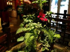 -荔枝苑养生餐厅(尊尚领地店)