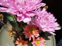 -西湖春天(中州店)