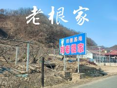 -河口景区