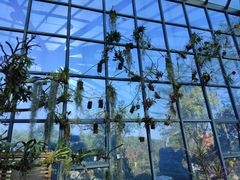 -东莞植物园